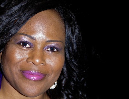 Mauris Fringilla Voluts